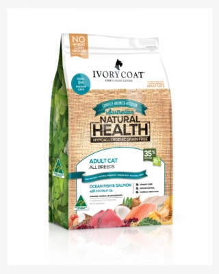 More Views - Ivory Coat Kitten