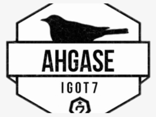 Got7