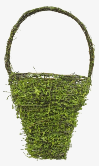 59807 - Moss
