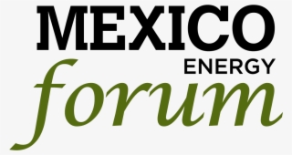 Mexico Energy Forum - Medsynergies