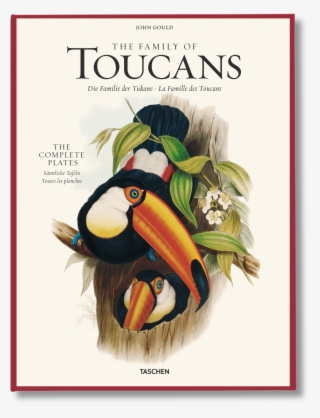 The Family Of Toucans - John Gould The Family Of Toucans