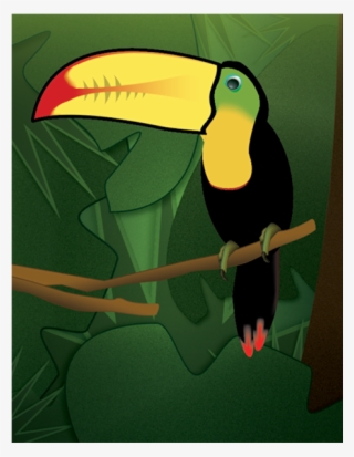 Toucan & Gradients Exercise Adobe Illustrator Illustration - Toucan