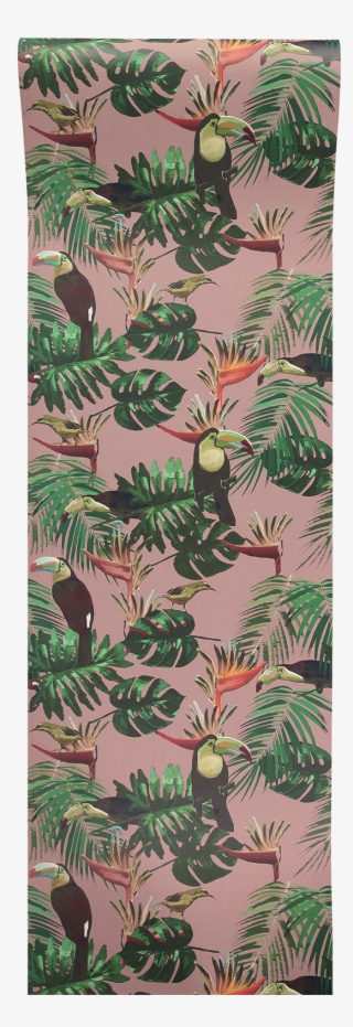 Toucan And Bee Catcher Wallpaper - Graduate Collection
