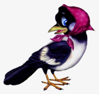 Toucan Cartoon Clipart Images Are Free To Copy For - Картинка Сорока В Пнг