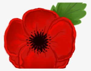 Poppy Clipart Animated - Clip Art Remembrance Day Poppy