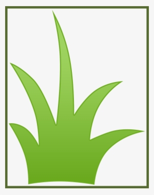 Amazing Watercolor Leaves Pic For Leaf Transparent - Matinho Desenho