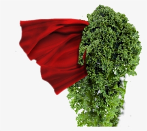 My Time For Little Reward, But Today I Really Wanted - Kale Powder - Organic 5 Lbs