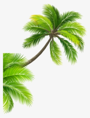 Coconuttree - Zuihomepaper-contemporaty 3d Wam Paper Wam Covering
