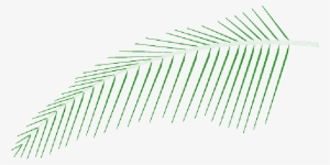 Mb Image/png - Coconut