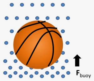 Buoy Ball - Basketball