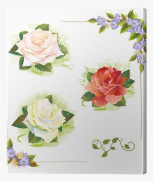 Set Of Roses - Watercolor Painting