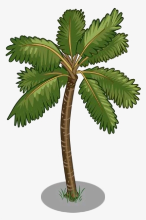 Coconut Trees Icon