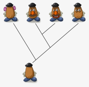 The Evolutionary Change That Occurs Within A Branch - Mr Potato Head Evolution