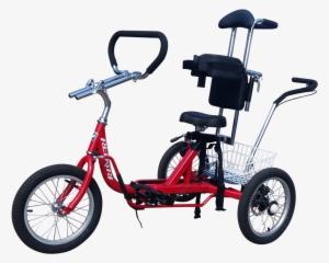 Special Needs Tricycle - Tricycle