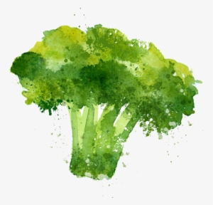 Waltham 29 Broccoli - Stock Illustration