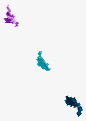 Report Abuse - Seahorse