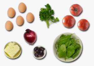 Description - Ys Garments, Inc.