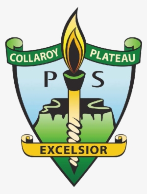 Collaroy Plateau Public School