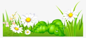 Chamomile Clip Art - Spring Daisies Clip Art