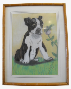 Boston Terrier Pastel Painting Signed Dated - Painting