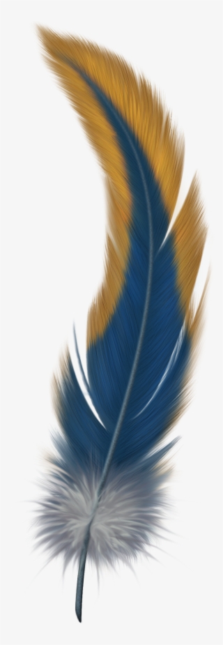 Watercolor Feather, Feather Painting, Feather Art, - Feather Png