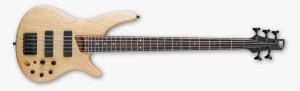 Net-ibanez Sr605 Bass Guitar - Ibanez Sr650 4 String Bass