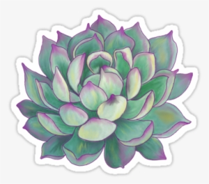 Pencil Drawing 9″×11″sketchbook Paper Coloured On Computer - Cafepress Succulent Plant Tile Coaster