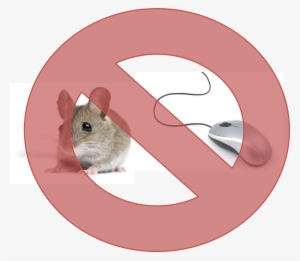 No Mice - Hate Mouse