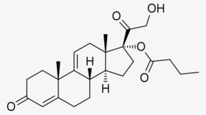9,11 Dehydrocortexolone 17α Butyrate - Testosterone Molecule Throw Blanket