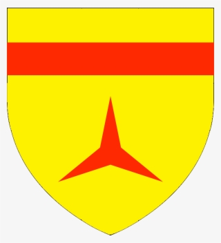 Costimas Shield - Flag