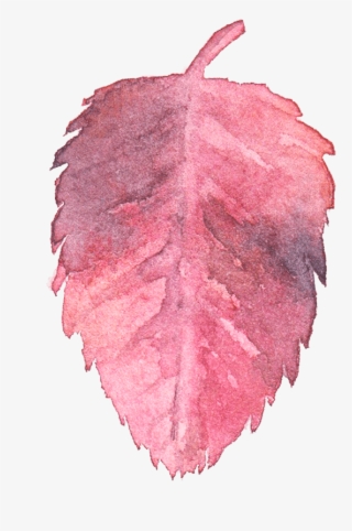 Pink Watercolor Transparent Free Download Png - Watercolor Background Pink Png