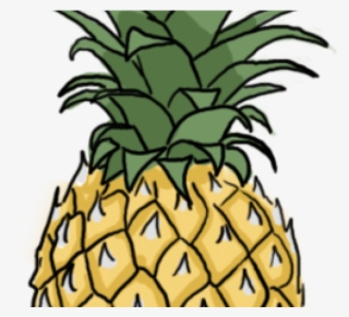 Pineapple Clipart Classy - Pineapple Drawing Step By Step