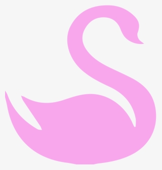 Swan Of Victoria