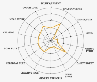 Auto Ak47 - Cannabis Strain Taste Profiles Msnl