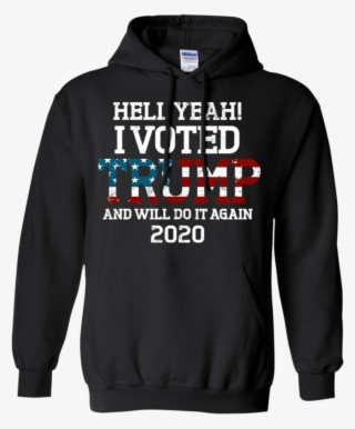 I Voted Trump And I Will Do It Again Hoodie - Patriot Super Bowl Champions Liii
