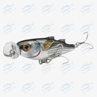 Mullet Popper Mup - Pull Fish Out Of Water