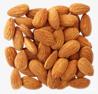 Almond Png, Download Png Image With Transparent Background, - Pain Nuts