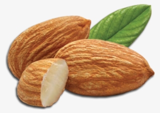 Almond Png Transparent Images - Almond Png Transparent