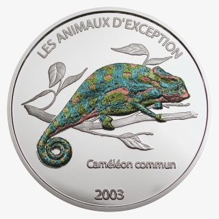 Chameleon Color - Coin