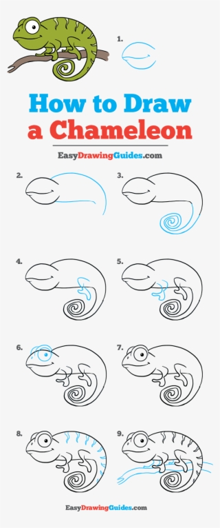 How To Draw A Chameleon With How To Draw A Chameleon - Draw A Chameleon Small