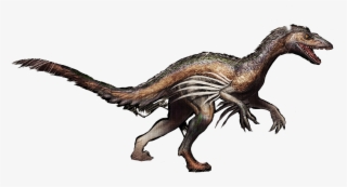 Velociraptor Troodon Survival Evolved Tyrannosaurus - Ark Troodon