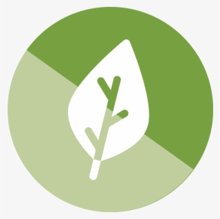 Icono-medio Ambiente - Circle