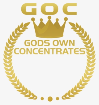 Gold Plated Jewellery With Price