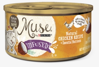 My Cat Did Not Like This - Recipe