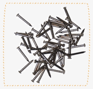 Bee Hive Nails - Bee Frame Nails