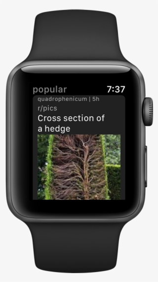 Apple Watch 3 Price