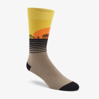 Sock Extinction - Sock