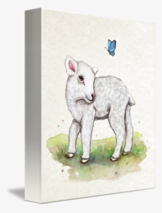 Little Lamb In Watercolor By Cheryl Marie - Sheep