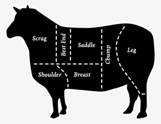 Fresh Meats - Lamb - Dairy Cow
