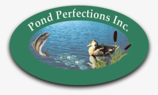 Weeds, Algae, And Sludge Gone - Mallard